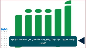 لوحات مميزة.. مزاد أبشر يفتح باب التنافس على الأسماء الرقمية الفريدة
